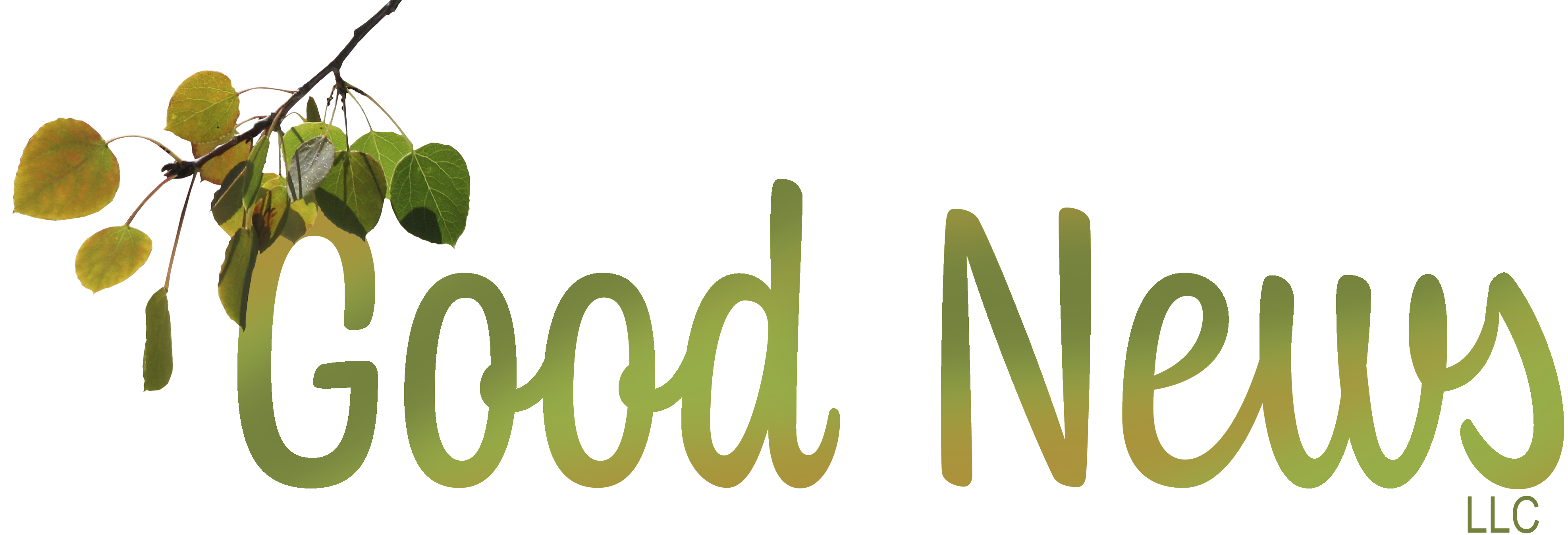 goodnewsnc.com